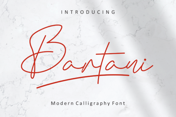 Bartani Font: A Delicate Handwritten Typeface for Crafters and Sellers