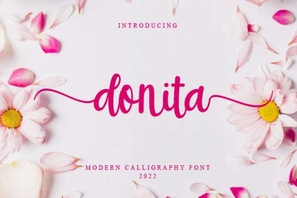 Donita: A Handwritten Font That Elevates Small Business Branding