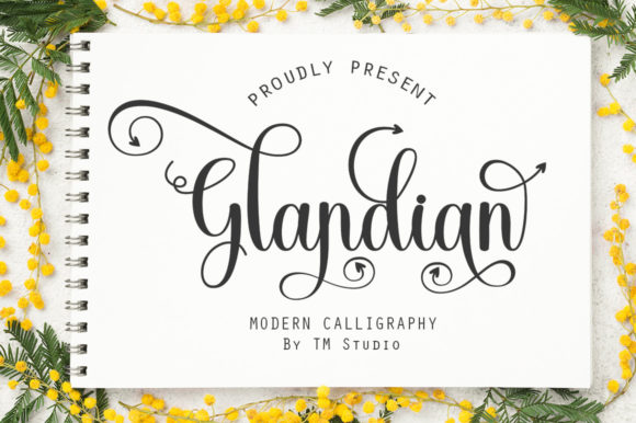 Glandian: A Calligraphy Typeface for Editorial Warmth