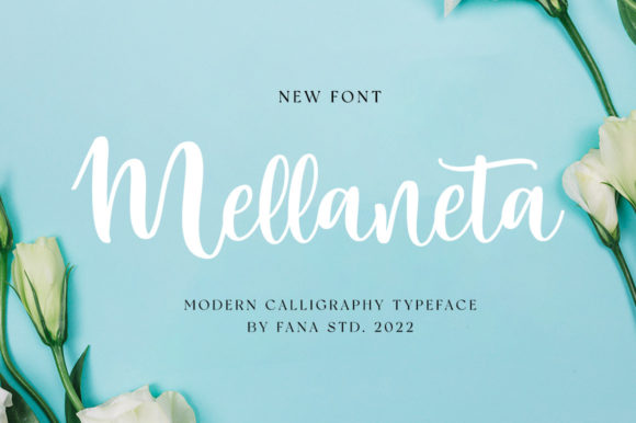 Mellaneta Script: A Handmade Seller's Go-To Font