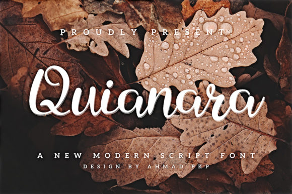Quianara Script Font Review: Elegance That Works in Digital Campaigns