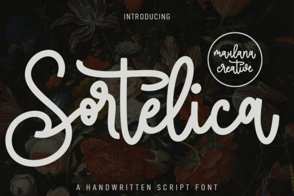 Sortelica: A Designer’s Honest Take on This Script Amp