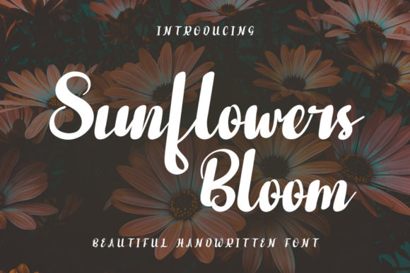 Sunflowers Bloom: A Handwritten Font for Editorial Storytelling