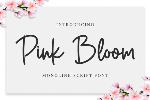 Testing Pink Bloom for a Boutique Website: A Handwritten Font That Feels Personal
