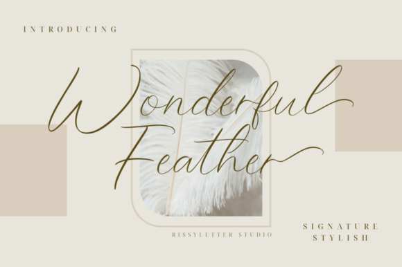 Why Wonderful Feather Became My Go-To Script Font for Branding