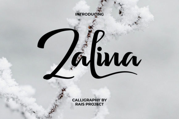 Zalina: A Script Font That Brings Warmth to Editorial Design